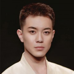 馬?。ǜ拭C演藝集團歌舞劇院）